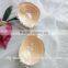 Hot Japan Girl Images Sexy Bra Cloth Silicone Bra