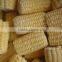 Shandong iqf frozen sweet corn cob yellow corn cob with bulk package