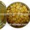 fruit vegetable for Russia 425g Canned Sweet corn kenels kenel