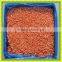 Wholesale Frozen chinese food, Frozen/IQF Carrot whole/dices/slices ,Frozen buik vegetables