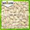 Top sales raw edible seeds Shine Skin Pumpkin Seeds (light yellow color) with best price from China