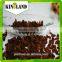 Golden supplier of Best Common Cultivation Type Top sale AAA Sultana Raisin price