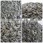 Sunflower Seeds Chinese Seed for Bird Feeding