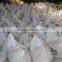 Factory Supply Bulk Pork Meat and Bone Meal