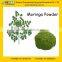 GMP Certified Manufacturer Supply Natural Moringa Powder