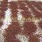 High quality Vietnamese green, dried star anise in bulk by HAGIMEX