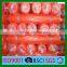HDPE good quality new material construction debris net
