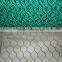 Hexagonal Wire Netting/mesh