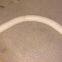 PVC long bend pipe