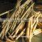 Single roller/double roller slot wood debarker with CE