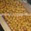 Wholesale special discount cheese ball making machinery