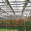 Good Quality Cheap Agricultural Green House