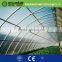 modular greenhouse 2016 shuiwang hot export