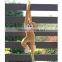 PP Cotton Cute Screech Monkey Plush Toy Doll