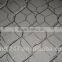Hot Dipped Galvanized Chain Link Fence with Low Price