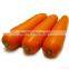New crop carrot fresh vegetables baby carrots for wholesales