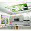 PVC Gypsum Ceiling Board