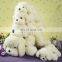 Wholesale cute white stuffed soft plush dog toy