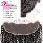 Brazilian bulk hair extensions without weft lace closure with baby hair