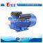 3KW 4HP Single Phase 1500rpm AC Induction Motor 220v YL-100L2-4