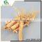 low cost high quality china ginseng extract powder