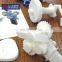 Model maker abs 3d printing scale model