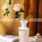 Modern Living Room Luxury Decor Ceramic Nordic Gold Vase