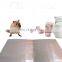 OEM top sale yellow powerful big rat glue trap adhesive sticky mouse board for family kitchen