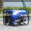 Bison China 5Kw Petrol Generator Price Single Phase Biogas Lpg Portable Generator 5Kw
