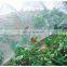 Manufacture plastic anti isecnt mesh protection netting  sun shade net