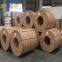 ASTM/AICI/EN 5005/5052/5252/5554/5006/5056/5254/5556 Aluminum Alloy Coil/Strip/Roll