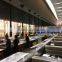 Philippines:King one hot pot conveyor belt