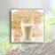 Soybean Milk Powder