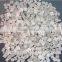 PP Random Copolymer (PPR)/ film grade/PP Copolymer