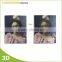 Lenticular printing 3d lenticular art picture for gift