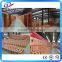 Western red cedar sauna room board, sauna wood panel