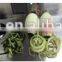 Automatic watermelon peeling machine on sale