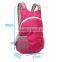 Durable Pink Hiking Backpacks Manufacturer BB015