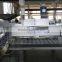 Blister Packing Machine (DPP-80 type)