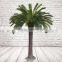 Artificial Cycas Tree