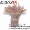 CHINAZP Bulk Sale Selected Prime Quality Natural Great Dyed Taupe Bleached Coque Tails Feathers