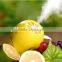 Mini Night-light Lemon Fruit Humidifier Portable USB Air Humidifier For Home And Car