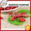20 years experience snack food certified dried goji berries