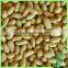 2016 Peanut Kernels Raw Peanuts Kernel