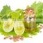 Pharmaceutical&Medical Grape Seed Oil refined