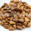 100% pure pine nut oil physical cold pressed nutritional and health for people