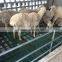 1200*600*35mm Pig/sheep/goat composite plastic slat floor