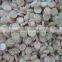 natural trocas/trochus shell button blank for shirt button making