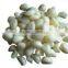 OULENO Small garlic ginger garlic mashed garlic machine machine cutter small household cooking machine Qiecai mashed garlic saus