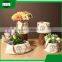 printemps creative countryside simulation pocket handbag fancy decoration vase with rope